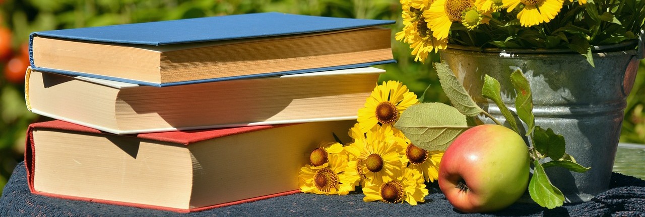Los libros que salen hoy a la venta: 4 de julio. Foto: Pixabay