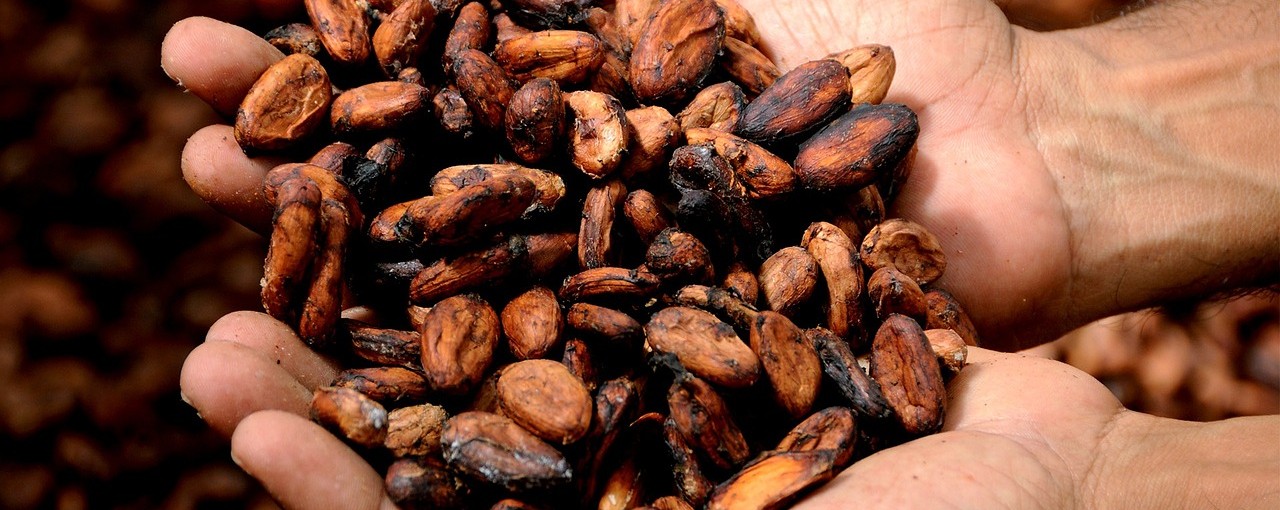 El cacao se usaba como moneda en Mesopotamia. Foto: Pixabay
