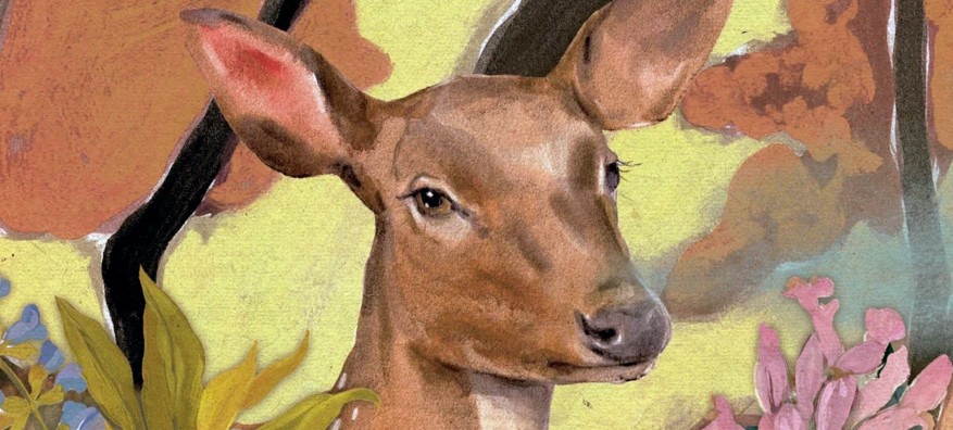 Bambi, ilustrado por Ana Santos. Foto: Planeta