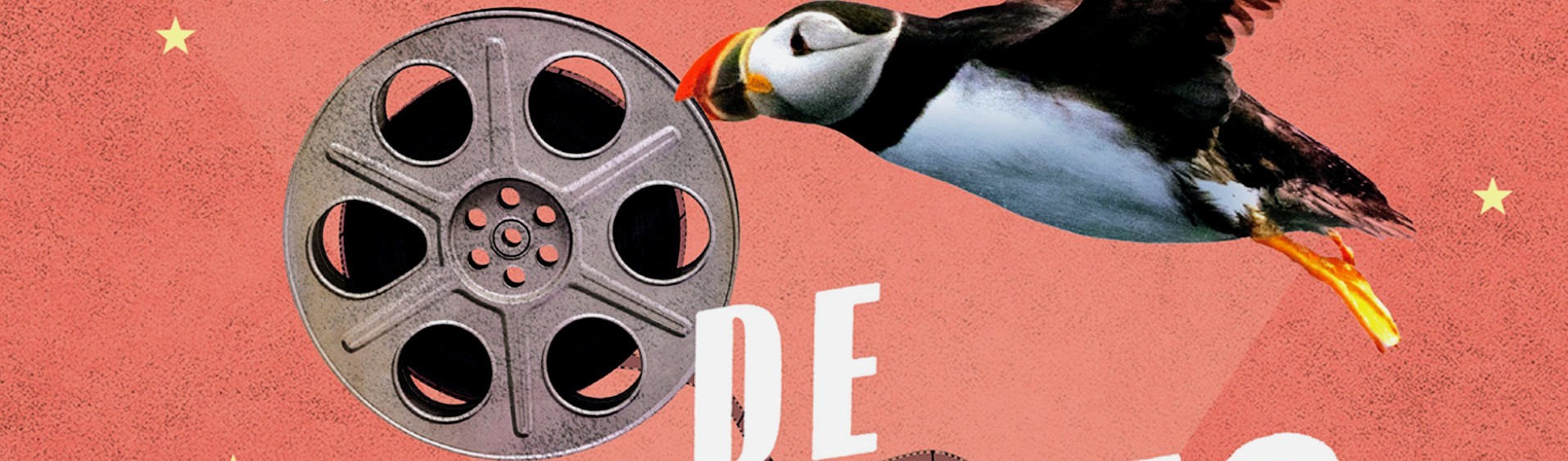 Libro del año. Foto: Maeva